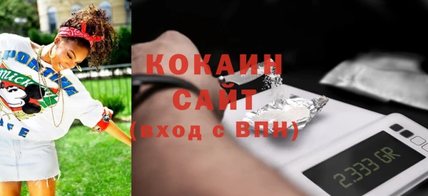 гидра Богданович