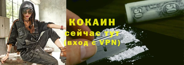 гидра Богданович