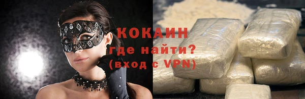гидра Богданович