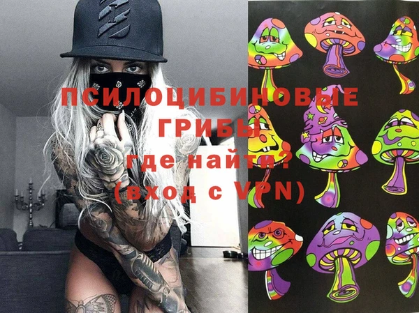 первитин Богородск