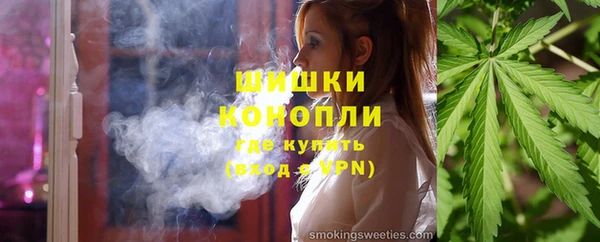 гидра Богданович